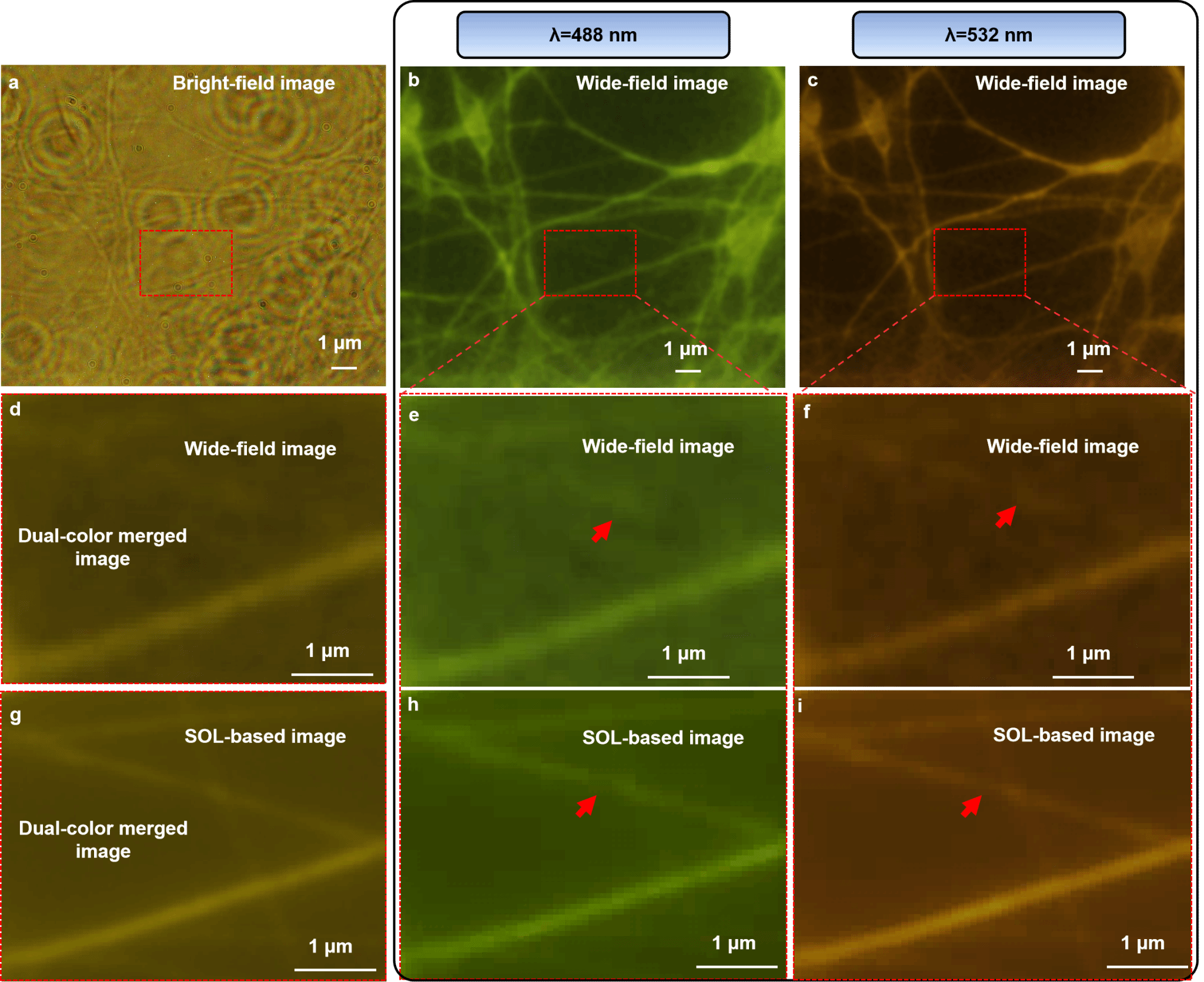 图片41.png 图片41.png